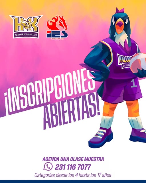 halcones halcones